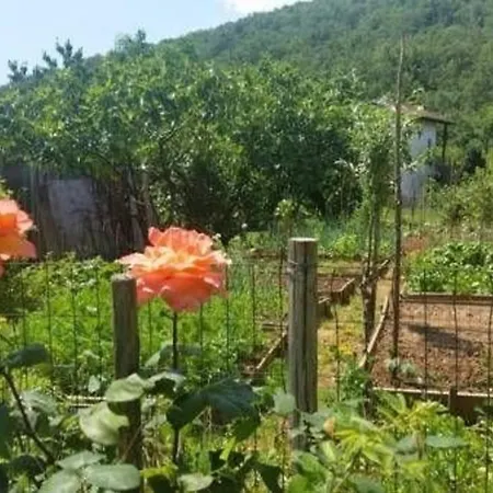 Apartment Fuer 5 Personen Ca 90 M In Opatija-pobri, Kvarner Bucht Gespanschaft Primorje-gorski *