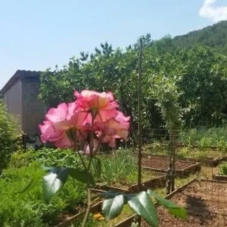Fuer 5 Personen Ca 90 M In Opatija-pobri, Kvarner Bucht Gespanschaft Primorje-gorski Apartment